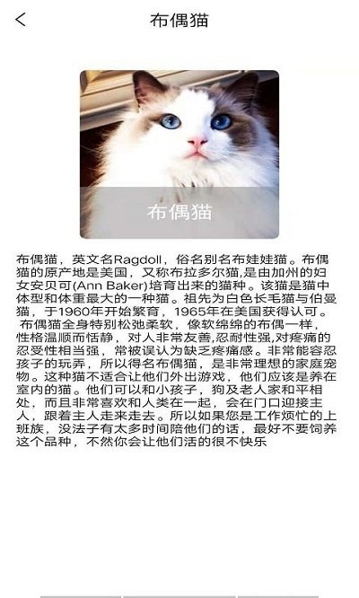 随身动物园app