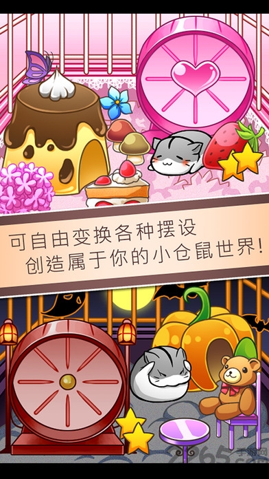 仓鼠养成无限金币破解版