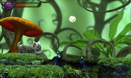 《猫咪探秘之旅》手机版下载