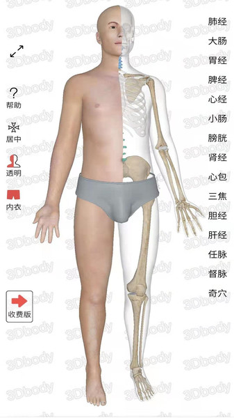 3d经络穴位app(中济经络穴位)