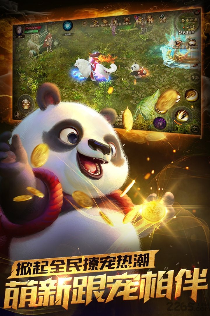 魔域口袋版网龙版游戏