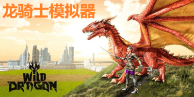 龙骑士模拟器