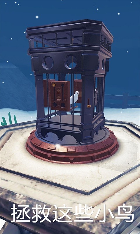 神秘的鸟笼游戏