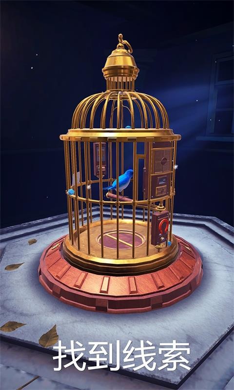 神秘的鸟笼游戏