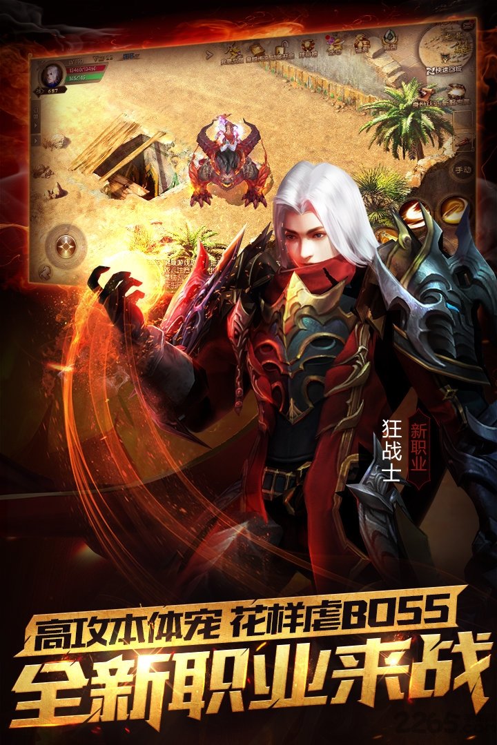 魔域口袋版网龙版游戏