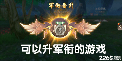 可以升军衔的游戏