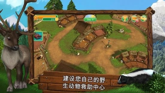 野生动物美国下载最新版