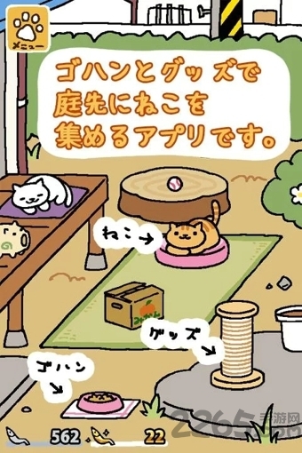 最新版猫咪后院破解版