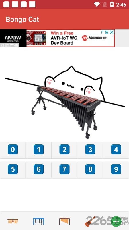 邦戈猫游戏