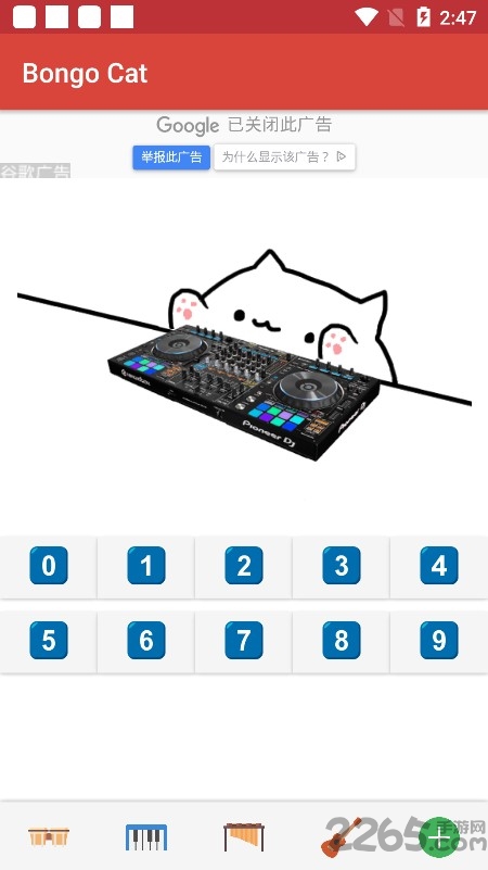 邦戈猫游戏