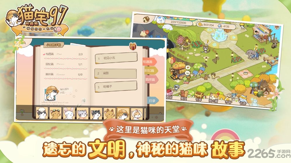 猫猫狗狗一起玩官方版