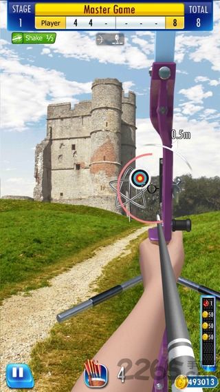 冠军弓箭手无限金币版