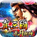 真三国武斗乾坤